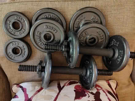 Photo of free Set of hand held weights (South Hatfield AL10) #1