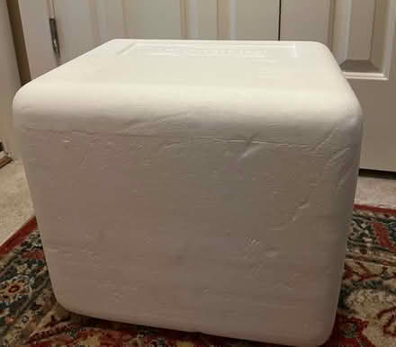 Photo of free Styrofoam cooler (Cherrydale North Arlington VA) #1