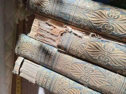 Photo of free Old Cassells encyclopedia books. (Eastbourne BN20) #3