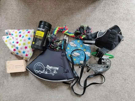 Photo of free Various dog accessories (Exmouth EX8) #1