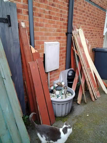 Photo of free Lots of wood...🪵 (Longeaton) #3