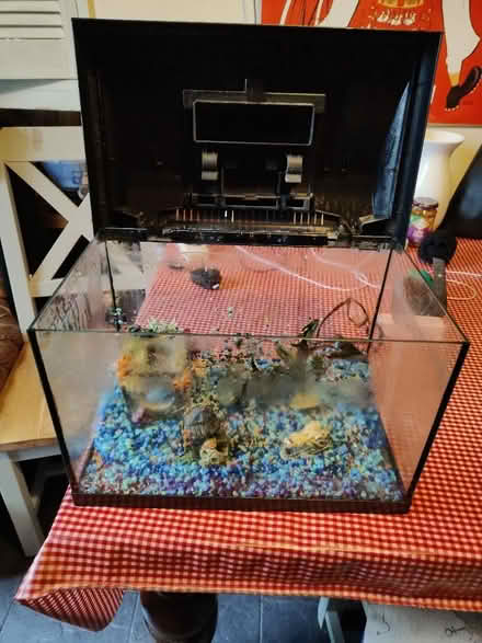Photo of free Fish tank (Oswestry SY11) #1