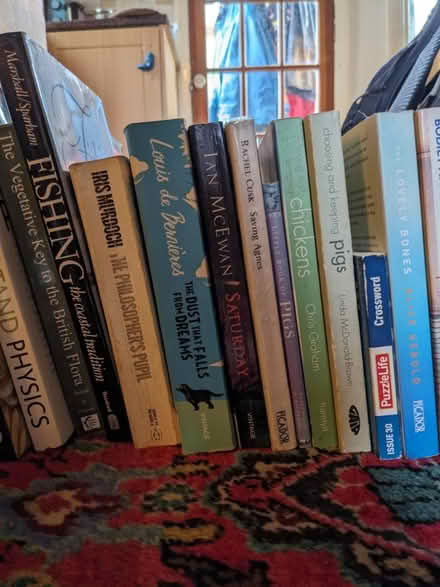 Photo of free Good books - NOT the DaVinci Code (Harbertonford TQ9) #2