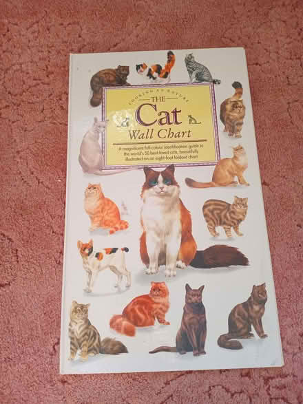 Photo of free Cat book (Eastbourne BN20) #1