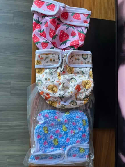 Photo of free Reusable dog nappies (South Acton W3) #1