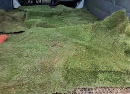 Photo of Artificial grass (Ba2 6SN) #1