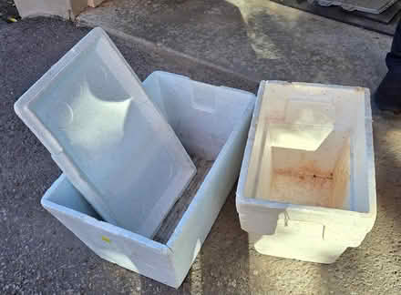 Photo of free Styrofoam coolers &1 lid (Bells Corners) #1
