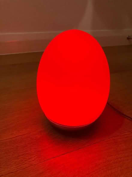 Photo of free Egg shaped lamp (Street BA16) #1