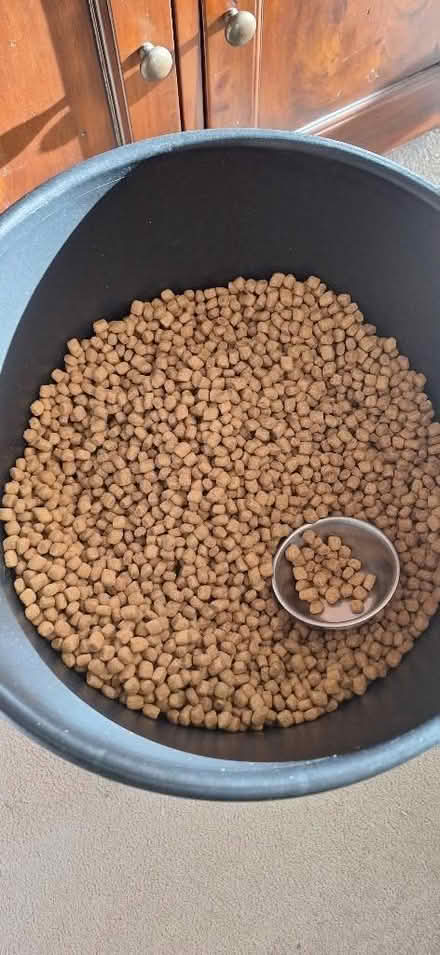 Photo of free Hills Science Plan Cat food, approx 14kg (Rotherhithe SE16) #2