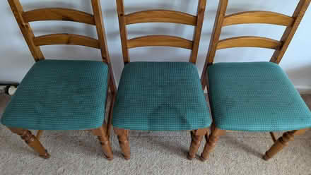 Photo of free Eight pine dining chairs (Rooksbridge, Somerset BS26) #3
