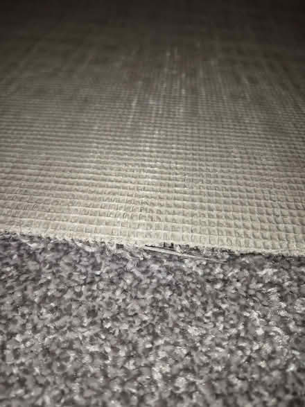 Photo of free Carpet (Plumpton CA11) #2