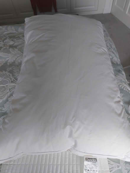 Photo of free Duck Fearher pillow (Welwyn AL6) #2