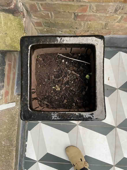 Photo of free Outside black flower pot (Canonbury N1) #3