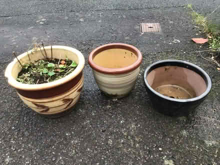 Photo of free Pots (Presteigne LD8) #1