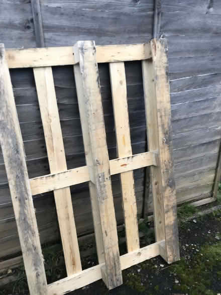 Photo of free Large wooden pallet (Ilfracombe Langleigh park) #1