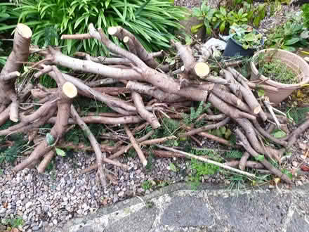 Photo of free logs (Alvaston, Derby) #1