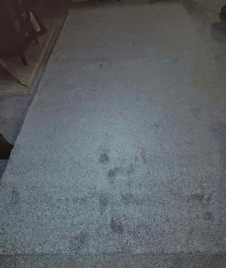 Photo of free Carpet (Plumpton CA11) #1