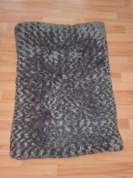 Photo of free Soft KSIIA medium dog beds (Billesley B13) #1