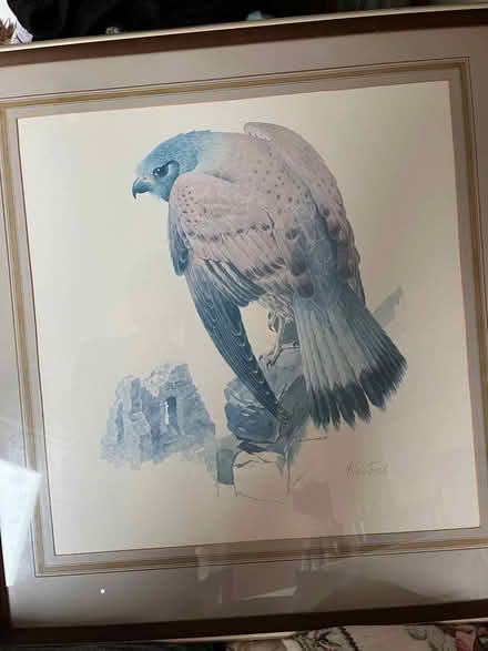 Photo of free Pair of large framed bird pictures (Tilekiln TN38) #2