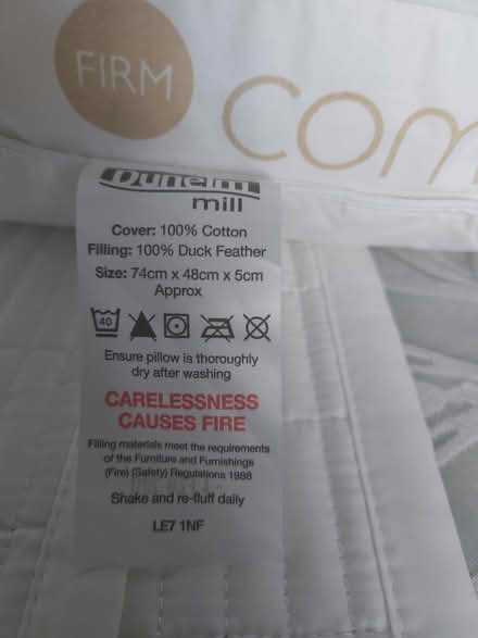 Photo of free Duck Fearher pillow (Welwyn AL6) #3