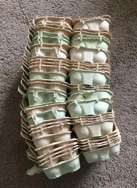 Photo of free Egg Cartons (Ashton-on-Ribble PR2) #1