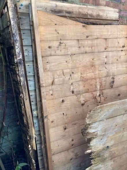 Photo of free Timber shed panels for reuse or bonfire night (Port of Wisbech PE13) #2