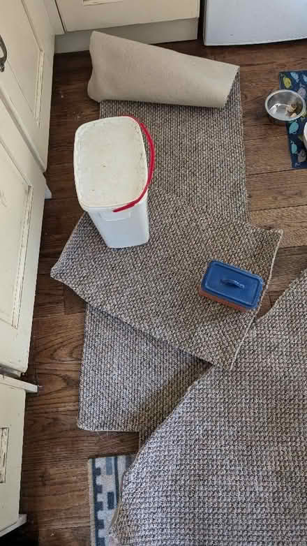 Photo of free Carpet off-cuts [BL2] (Hall i' th' Wood BL2) #3