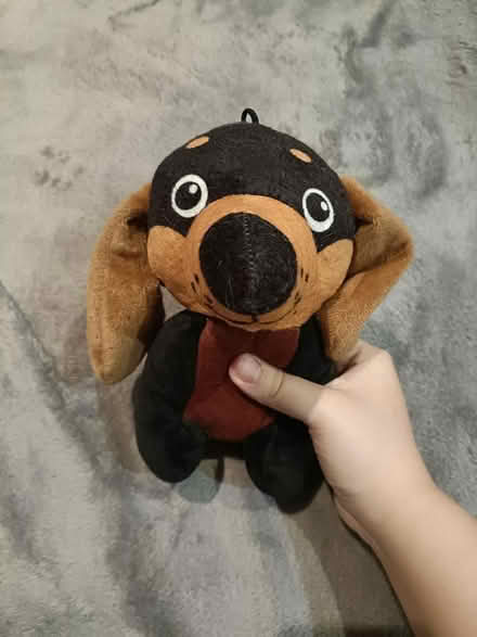 Photo of free Teddy bear sausage dog (SW6) #2