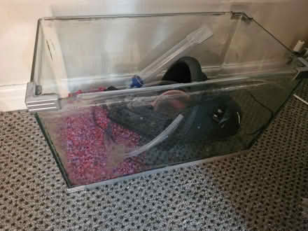 Photo of free 2ft fish tank (Stradbroke S13) #1