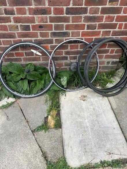 Photo of free Bicycle Rims (Eltham SE9) #1
