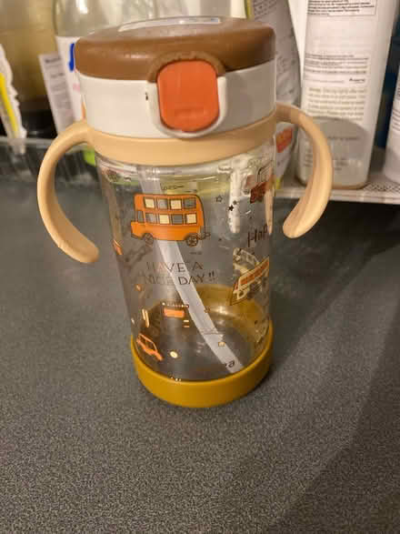 Photo of free Richell water bottle (SW19 8qz) #1