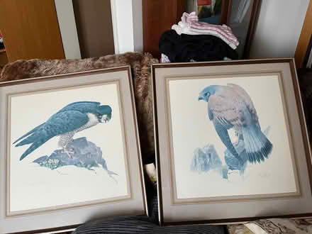 Photo of free Pair of large framed bird pictures (Tilekiln TN38) #1