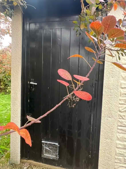Photo of free Solid wood garage door (SM4 lower morden) #1