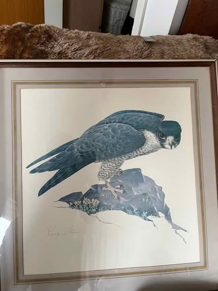 Photo of free Pair of large framed bird pictures (Tilekiln TN38) #3