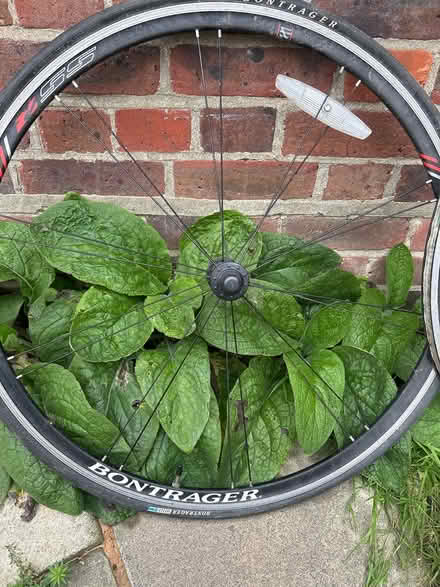 Photo of free Bicycle Rims (Eltham SE9) #3