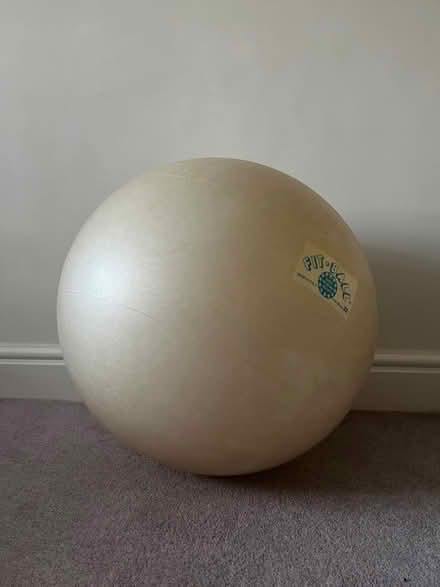 Photo of free Physio Ball (Kingsway) #1