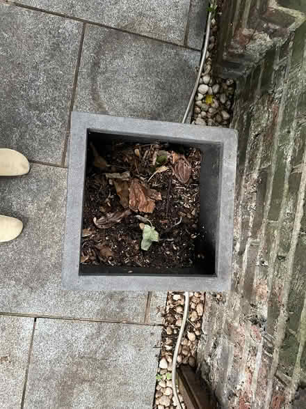 Photo of free Outside grey flower pot (Canonbury N1) #2