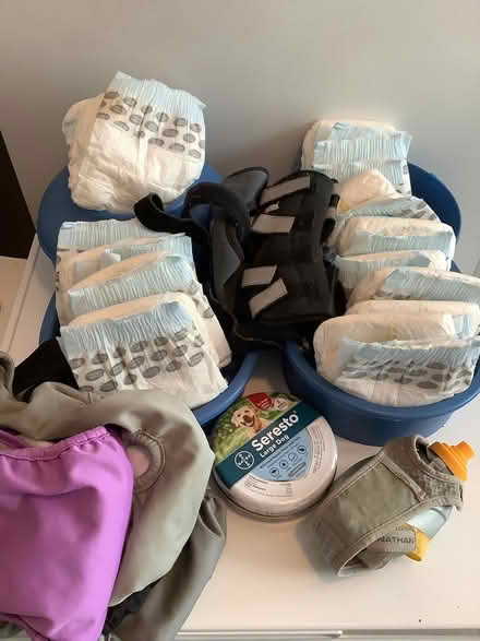 Photo of free Dog items (Rutledge, Delaware County) #1