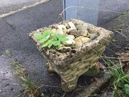 Photo of free Square planter (Presteigne LD8) #1