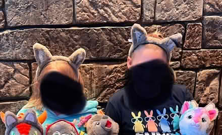 Photo of Great Wolf Ears (Countryside- Sterling) #1