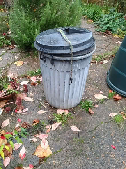 Photo of free Dustbins x 2 (Teddington TW11) #1