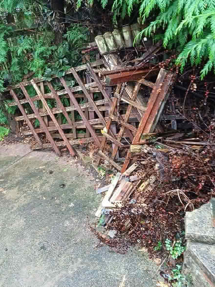 Photo of free Scrap wooden trellis fencing + (Ty Canol, Cwmbran.) #1