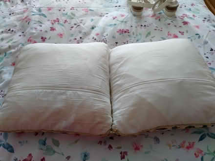 Photo of free Dolphin Scatter Cushions (Pilgrims Hatch CM15) #2
