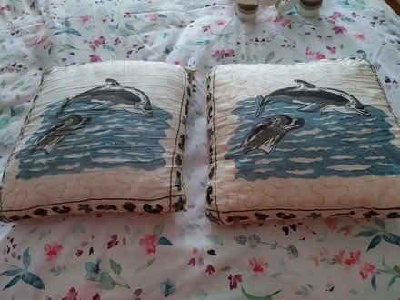 Photo of free Dolphin Scatter Cushions (Pilgrims Hatch CM15) #1