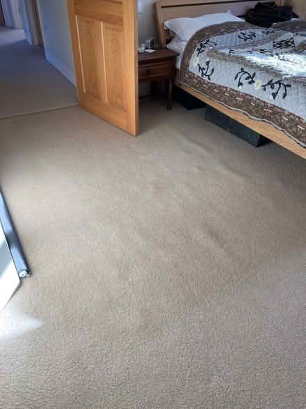 Photo of free Wool carpet (Hereford HR1) #2