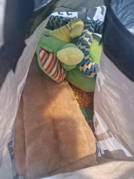 Photo of free Dog bed and assorted toys (NE12 West Moor) #2