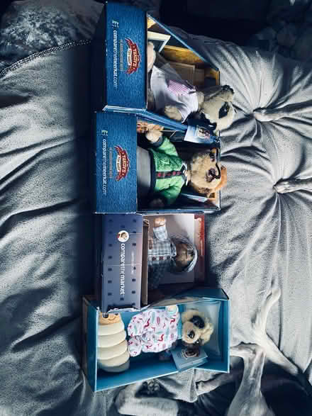 Photo of free meerkat teddies (Loughborough LE11) #1