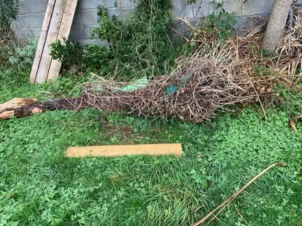 Photo of free Tree trunks x 2 (Stillorgan Dublin) #2