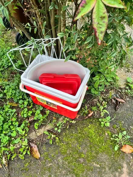 Photo of free Just put these outside (Larkfield ME20) #1