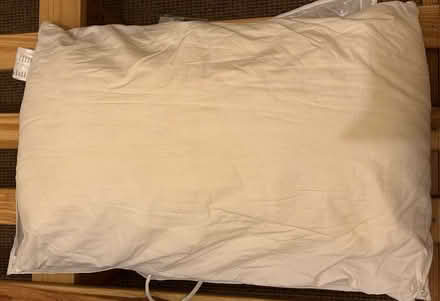 Photo of free Silk Filled Pillow (Central Reading RG1) #1
